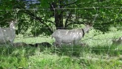 Schapennet Turbomax High Energy 105cm Dubbele Pen