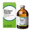 Bisolvon Injectie 100 Ml