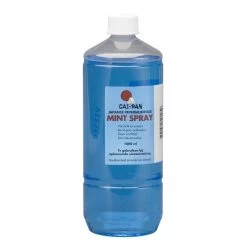 Cai Pan Mint-Spray 1 L