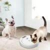 AFP Lifestyle 4 Pet-5 Meal Pet Feeder -Huisdierproducten 1789 afph05700