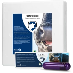 Fosfor Bolus+