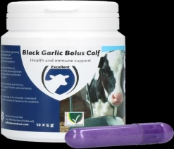 Black Garlic Bolus Calf