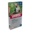 Advantix 400/2000 Spot-on > 25kg 4 Pipetten 2 Advantix 400/2000 Spot-on > 25kg 4 Pipetten -Huisdierproducten 203746 advantix hond 400 2000 spot on vlooien luizen bestrijding webshop