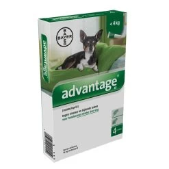 Advantage 40 Hond