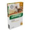 Advantage 40 Kat 1 Advantage 40 Kat -Huisdierproducten 203752 advantage kat 40 anti vlooien en luizen spot on bestrijding webshop
