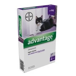 Advantage 80 Kat