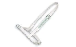 Halster Stier Wit 40 Mm Nylon Met Leer Verstevigd