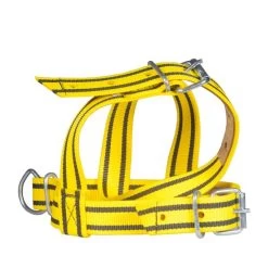 Keuringshalster Pink Geel/zwart