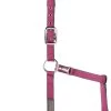 Halster USG Fuchsia/grijs Maat Full -Huisdierproducten 558431 usg halster pony 2