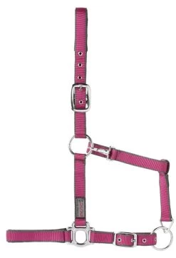 Halster USG Fuchsia/grijs Maat Full