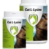 Cat L-Lysine 50 Gram