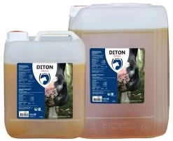 Diton