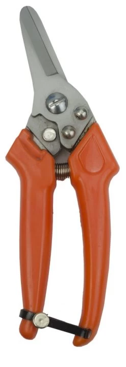 Schapen Klauwschaar Claw Clipper Sheep Dutch