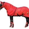 Horse Armor Knockdown Sheet L 191 Cm (Insect Shield) -Huisdierproducten knoc00191