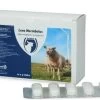 Leva Worm Bolus REG NL URA -Huisdierproducten leva worm bolus