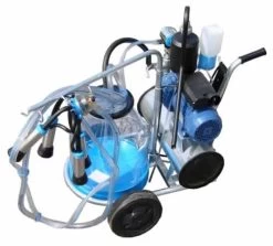 Minimilker Koe, Oliegesmeerd