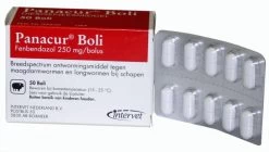Panacur Boli REG NL URA