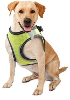 Doggy Safety Harness XS. A:28-30cm B:32-37cm
