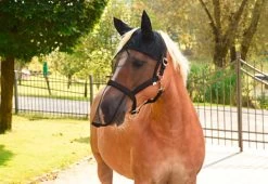 Vliegenhalster/masker Full