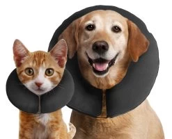 Zencollar The Original ProCollar Medium