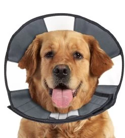 Zencone Soft Recovery Collar XLarge